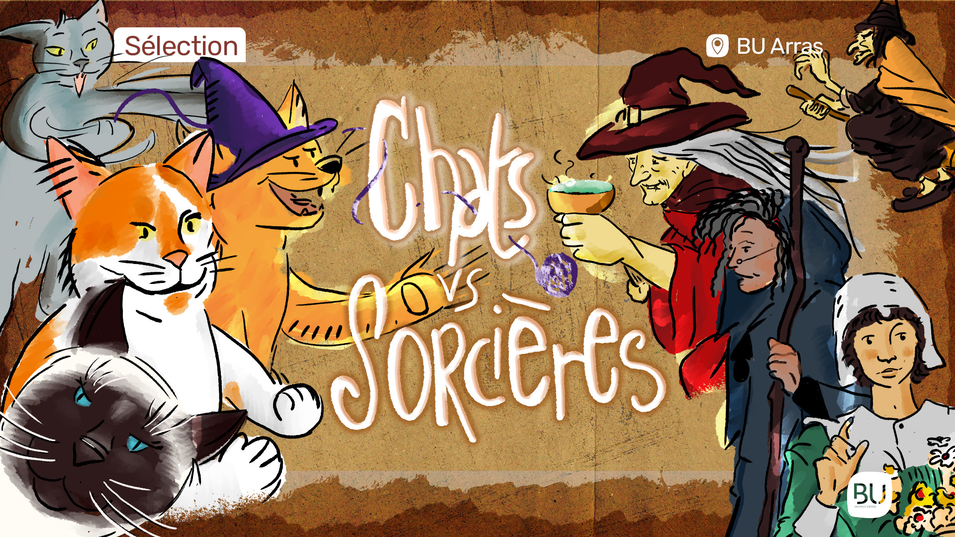 Mois de l'imaginaire : Chats vs Sorcières